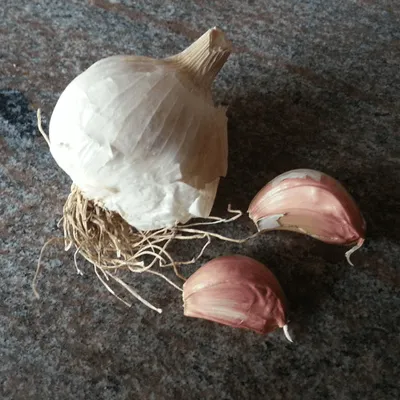 Aglio rosso di Nubia