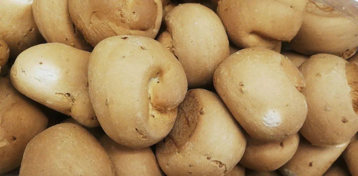 St Martin’s biscuits, an essential Sicilian tradition