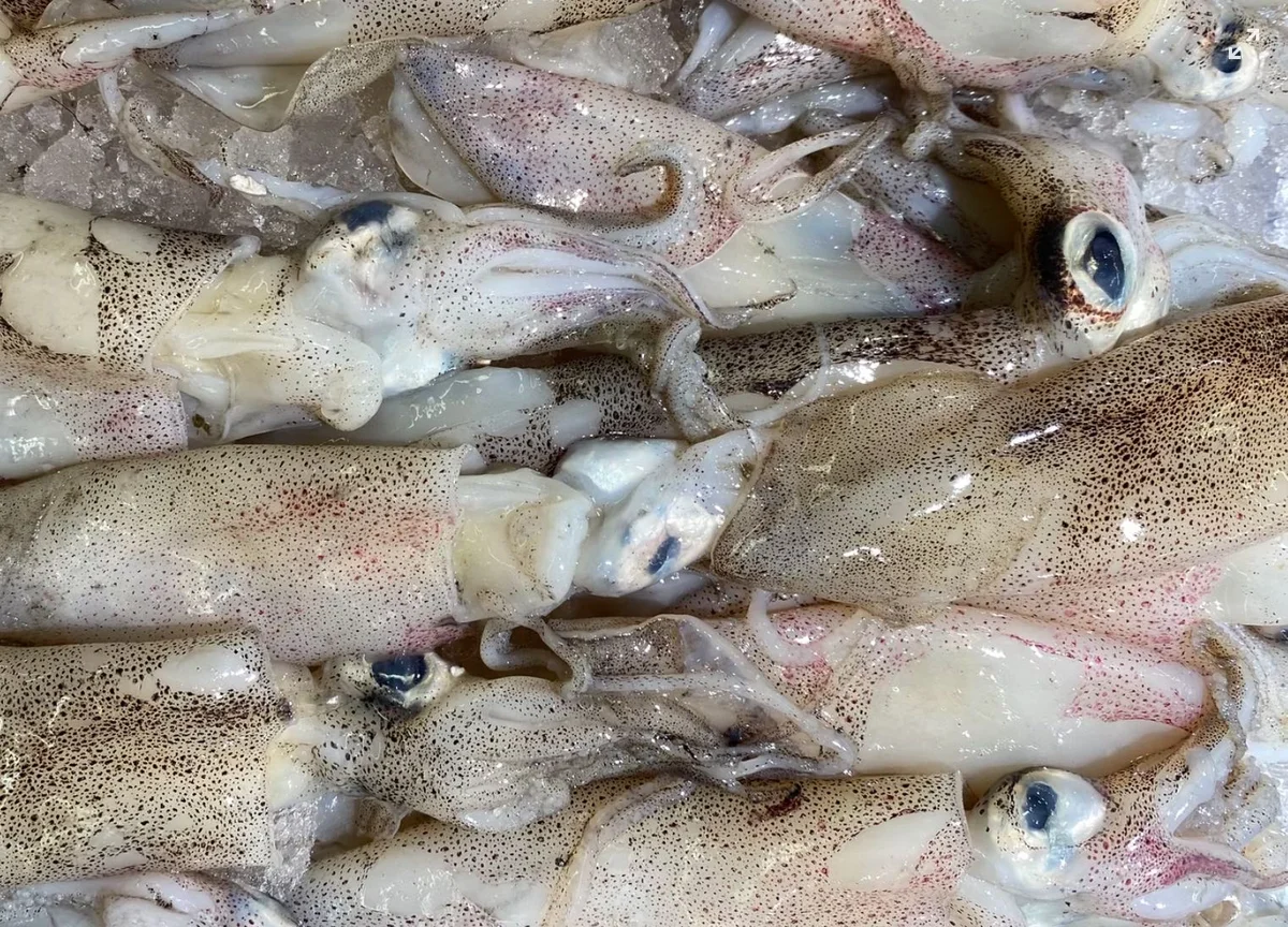 Come pulire i calamari