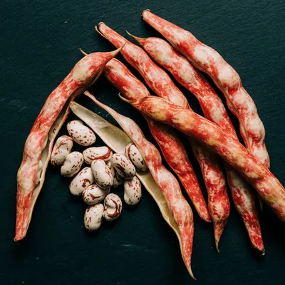 Fagioli borlotti