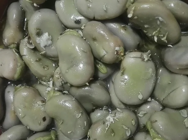 Favi liezzi di Buccheri serviti in ciotola di ceramica siciliana con origano e peperoncino