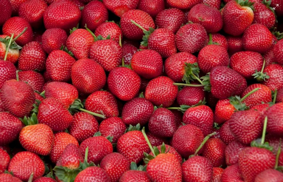 Marmellata di fragole fatta in casa in barattoli di vetro decorati