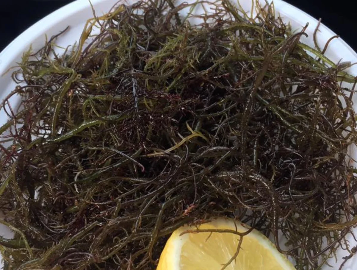 Insalata di mauru catanese con limone e olio su piatto di ceramica siciliana