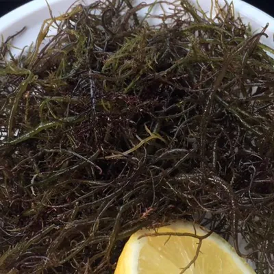 Mauru catanese: l’insalata di mare più autentica di Catania