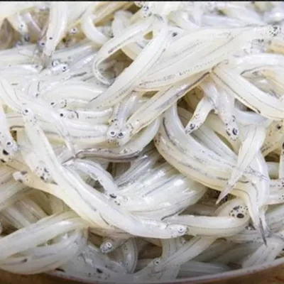 Neonata marinata: antipasto siciliano delicato e profumato