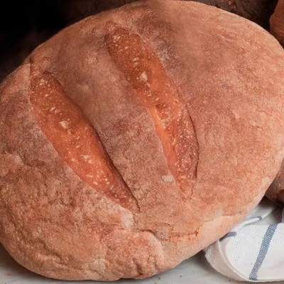 Pane del Dittaino DOP