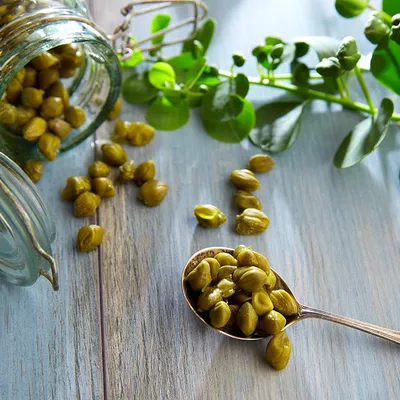 Paté di capperi di Pantelleria: un'esplosione di sapori mediterranei