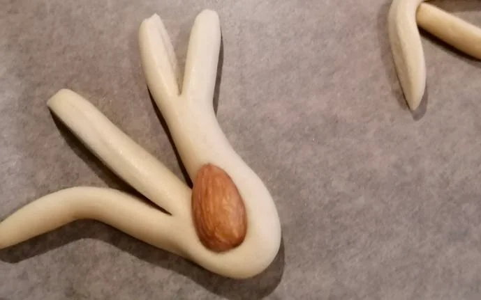 Rami di miele siciliani dorati decorati con mandorle su vassoio rustico in legno