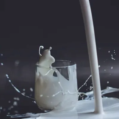 Rosolio di latte: il liquore siciliano cremoso e profumato